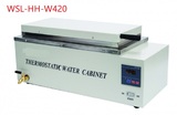 WSL-HH-W420 electro thermostatic water cabinet bath