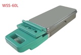 WSS-60L  60L Fast Cassette Pressure Steam Autoclave Sterilizer Machine