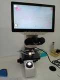 WD-B106 LCD screen digtal microscope