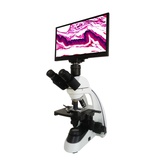 WSMW26 Biological Microscope With 12inch Touch Screen