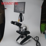 WSMX136 Trinocular Biological Microscope With Screen